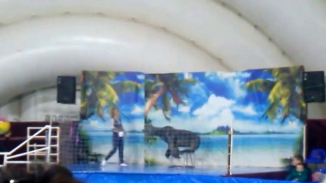 "морская львица" приезжий дельфинарий в город витебск! смотреть онлайн