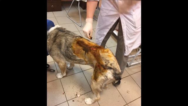 АЙДАР смотреть онлайн
