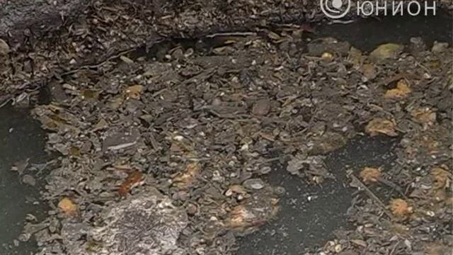 Неприятный запах, подвалы и колодцы со сточными водами смотреть онлайн