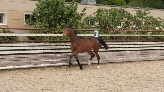 Габриэль смотреть онлайн