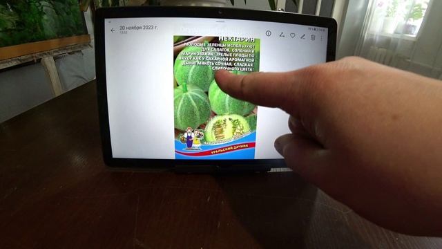 Экзотика в саду. Огурдыня.