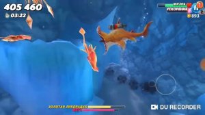 hungru shark world обзор песчаной акулы