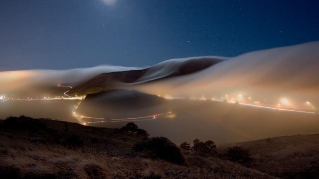 Tony O´connor. SongBird