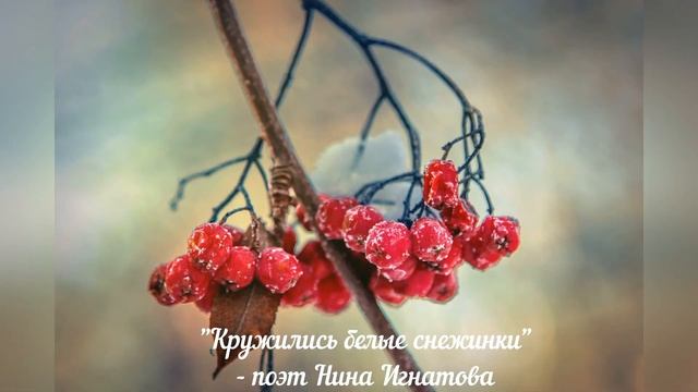 "Кружились белые снежинки" - стихи о природе - поэт Нина Игнатова смотреть онлайн