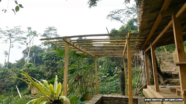 Harvesting chayote - Caring for corn and sugarcane gardens, Clear weeds - Building Life | Ep.23 смотреть онлайн