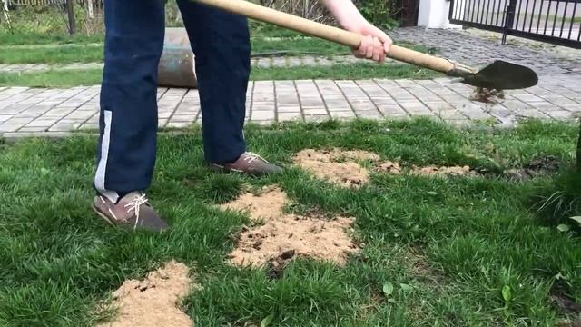 Как восстановить газон после зимы, Wie den Rasen nach dem Winter wieder herzustellen смотреть онлайн