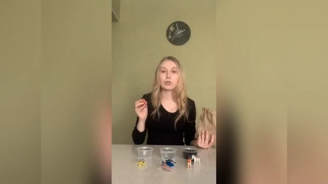 Занимаемся дома. Часть 5. Николюк А. А., учитель-дефектолог.mp4 смотреть онлайн