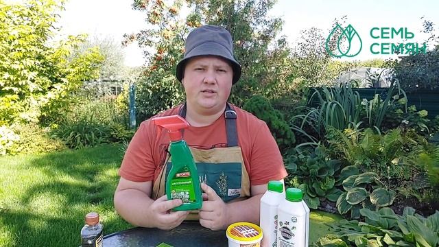 НЕ ЗАБУДЬТЕ ОБРАБОТАТЬ СВОИ РАСТЕНИЯ ПЕРЕД ТЕМ, КАК ЗАНЕСТИ ИХ ДОМОЙ! смотреть онлайн