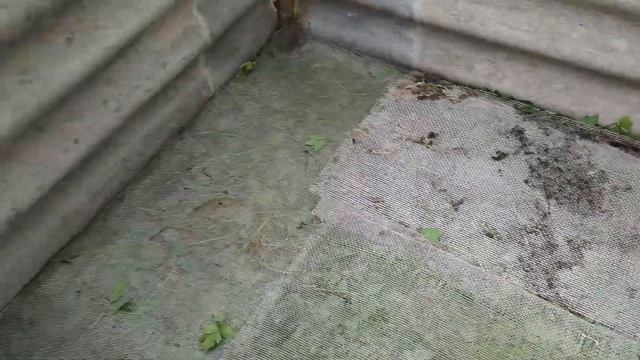 Компостная куча из шифера. Путь на землю. Начало смотреть онлайн