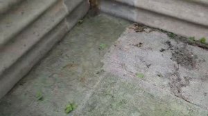 Компостная куча из шифера. Путь на землю. Начало