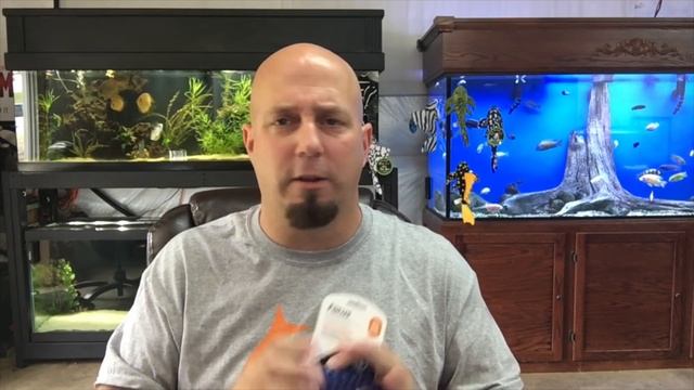 How To Treat For Internal Parasites In Your Fish Part 1! Medicate The Food! KGTropicals! смотреть онлайн