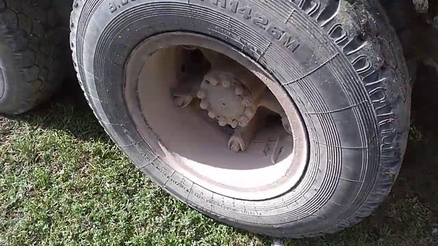 Индюшка с индюшонком. Все хорошо!)))) смотреть онлайн