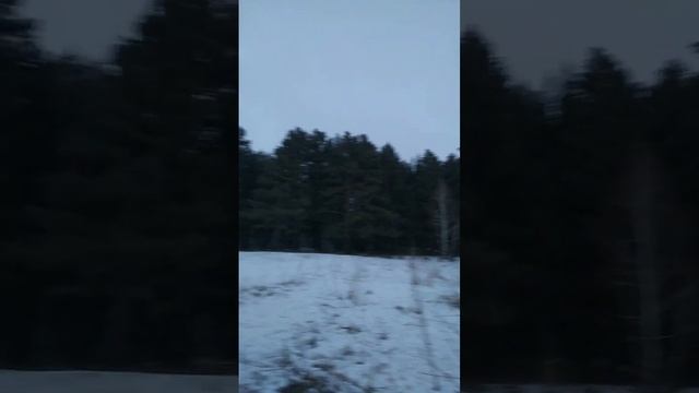 Старинные часы  Рагда Ханиева