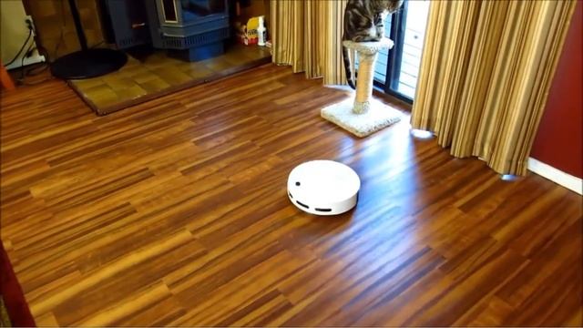 Best Robot Vacuum Cleaner - Best Robot Vacuum 2024 || The Best Robot Vacuum Cleaners Review смотреть онлайн