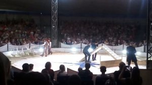 Ходила цирк в бухте КАМЫШИН
