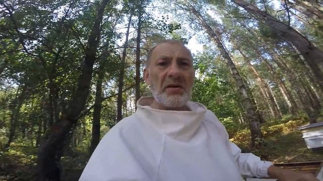 ПЕРГА В ЗИМУ. НУЖНА ИЛИ НЕТ.