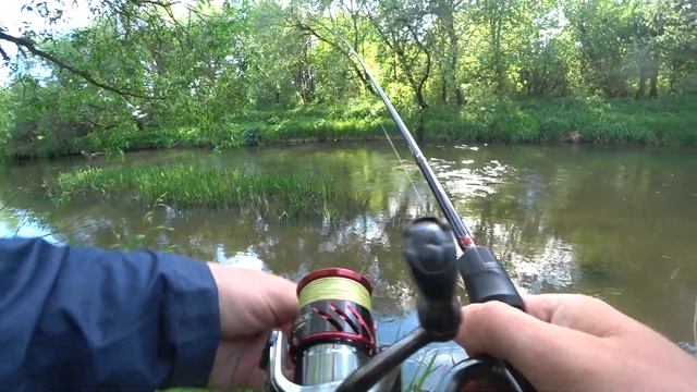 Попал на жор хариуса. Спасаю Smith Surger и Phoxy Minnow. Рыбалка на живописной малой реке. смотреть онлайн