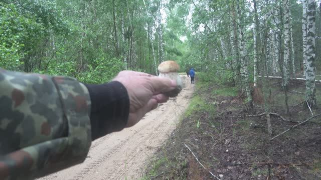 За грибами в Старую Пустынь. смотреть онлайн