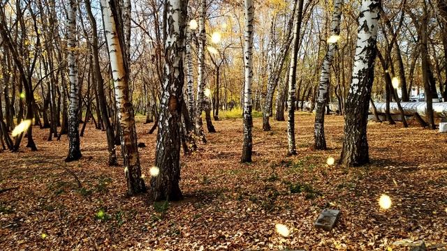 Бабушка подозревала, что ее внучка не от ее сына, и, сделав тест ДНК, поспешила поделиться... смотреть онлайн