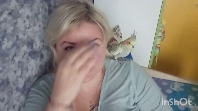 Как у меня кричит корелла? смотреть онлайн