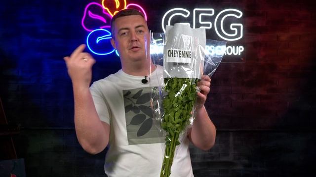 Mix кустовой розы 70 см | Mirabel, Leila, Cheyenne, Snowflake | Tulaga Flowers | Кения | Цветы опто смотреть онлайн