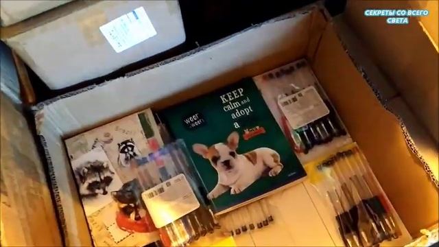 ?СВЕТОФОР‼️ДЕШЕВО ? БАНКИ И КРЫШКИ ДЛЯ КОНСЕРВИРОВАНИЯ ? ТОВАРЫ ДЛЯ ШКОЛЫ И ИГРУШКИ смотреть онлайн