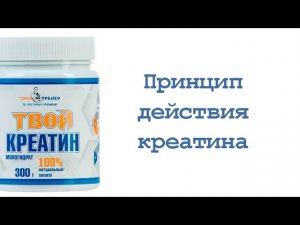 Принцип действия креатина