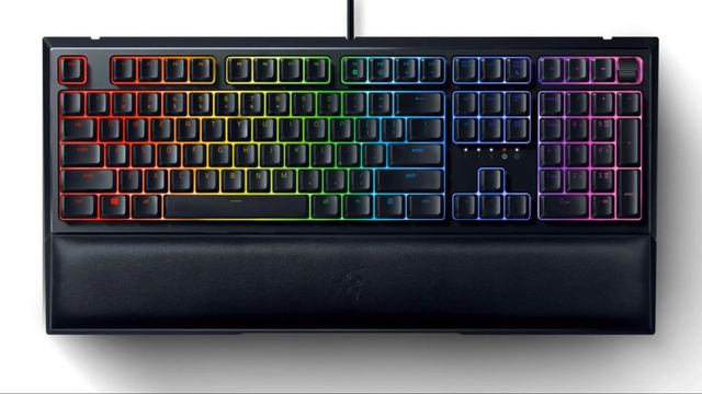 Обзор Razer Ornata V2