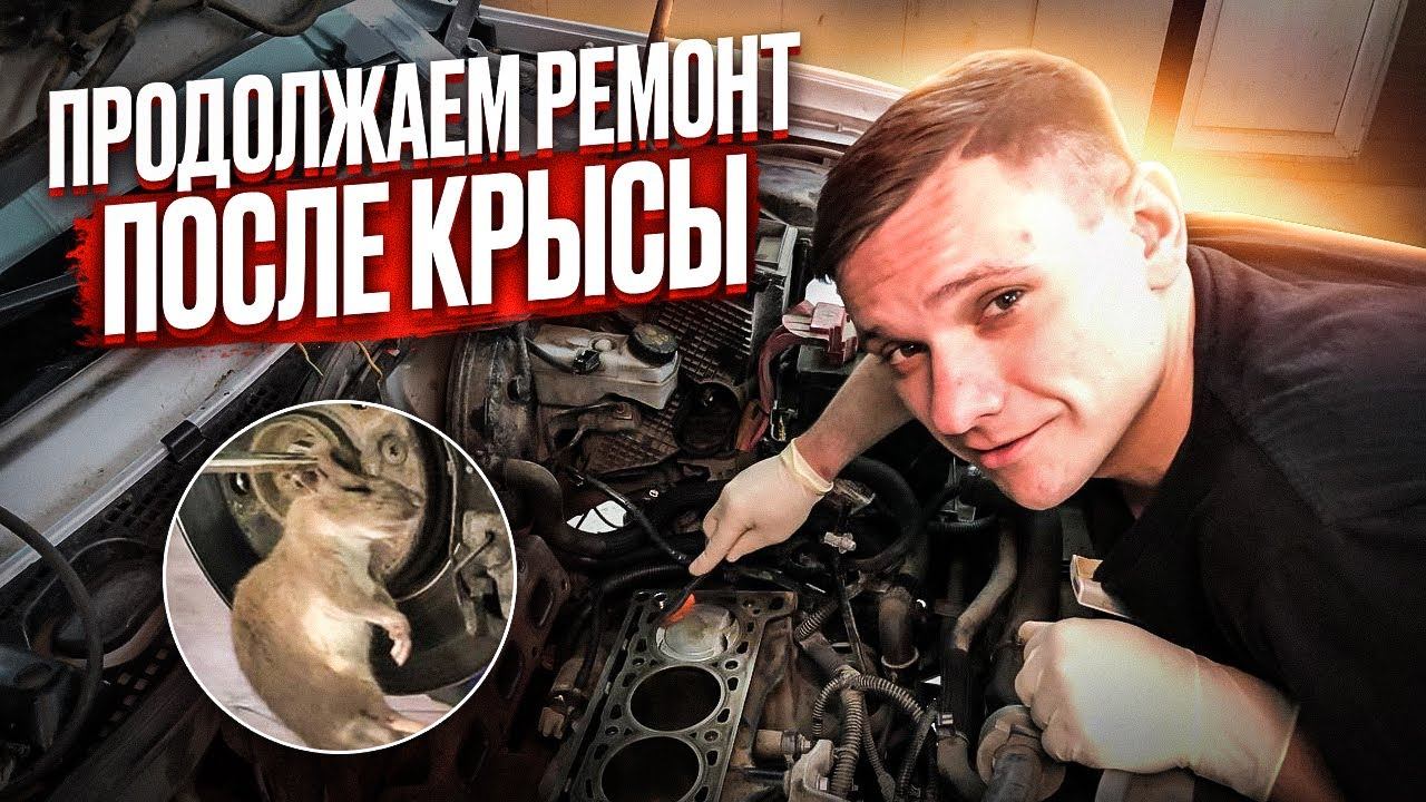 ПОСЛЕДСТВИЯ ОБРЫВА РЕМНЯ ГРМ НА ДАСТЕРЕ С КРЫСОЙ #буднисервиса ПРОДОЛЖЕНИЕ ИСТОРИИ | РЕМОНТ ГБЦ смотреть онлайн