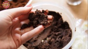 13 способов применения кофейной гущи. И некоторые из них очень неожиданные!