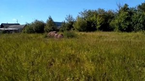 МОТОБЛОК НА СЕНОКОСЕ
