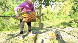 FULL VIDEO: 60 Days Build Agriculture From START TO FINISH | Sow Seeds, Gardening, Farm Life