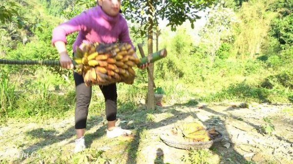 FULL VIDEO: 60 Days Build Agriculture From START TO FINISH | Sow Seeds, Gardening, Farm Life