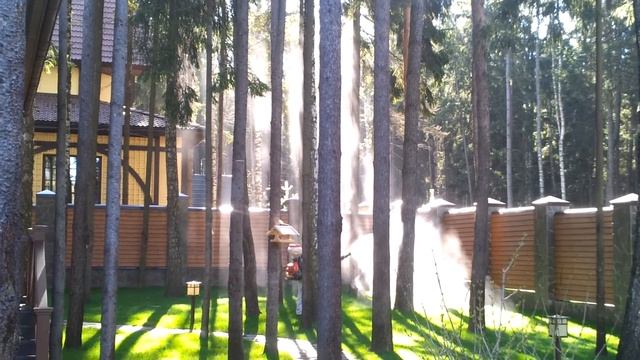 Борьба с короедом. Лечение деревьев смотреть онлайн