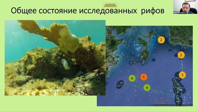 Занятие 5 Организация экологического мониторинга смотреть онлайн