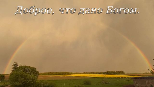 В ожидании - In Erwartung(Russische Version) смотреть онлайн