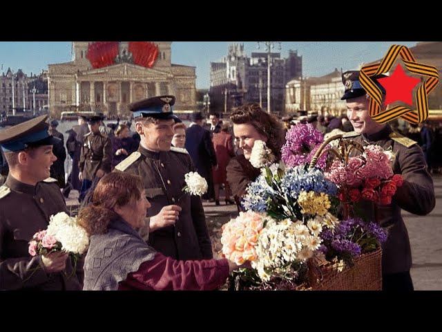 «Ты почему не оформил инвалидность? Где документы, которые в госпитале дали?» - «Скурил…» смотреть онлайн