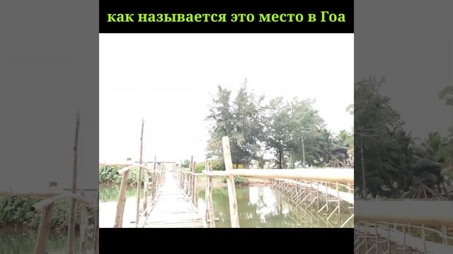 Гоа Индия :как называется это место в Гоа#shorts смотреть онлайн