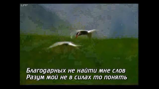 Неземная любовь + смотреть онлайн