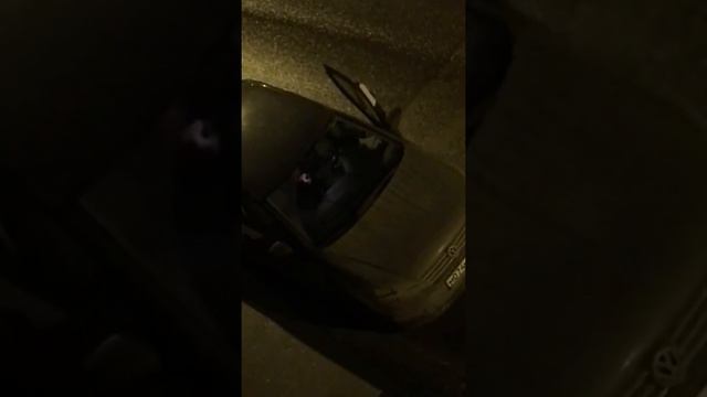 Пьяный водитель каршеринга. Не с первого раза сел за руль. смотреть онлайн