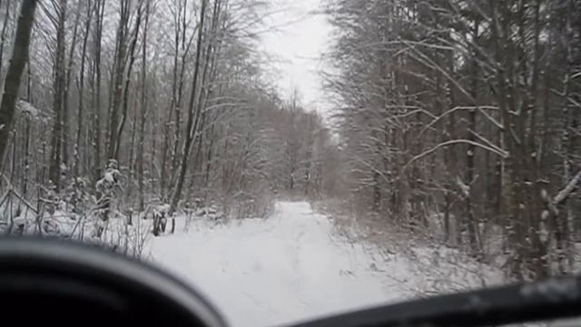 Мангуст Эго. С Новым Годом! 2019 смотреть онлайн