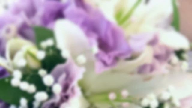 Саратов горпарк 20.08.2016 смотреть онлайн