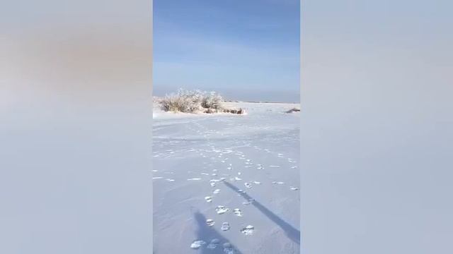 Охота на зайца 07.01.2020 смотреть онлайн