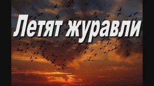 ЛЕТЯТ ЖУРАВЛИ , ВОТ ЗИМА НАСТУПАЕТ
