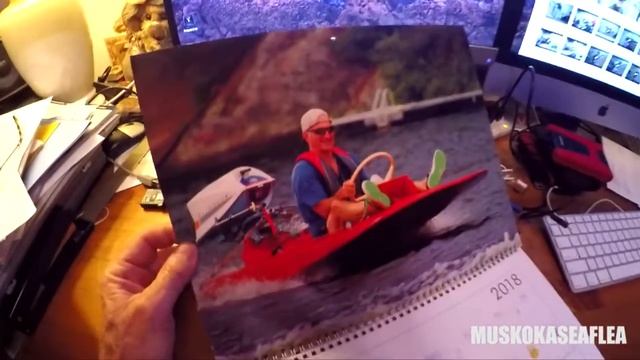 Muskoka Seaflea 2018 Calendar смотреть онлайн