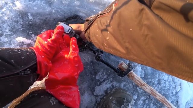 СЕКРЕТНАЯ СЕВЕРНАЯ ТЕХНИКА ЛОВЛИ РЫБЫ в Якутии Yakutia смотреть онлайн