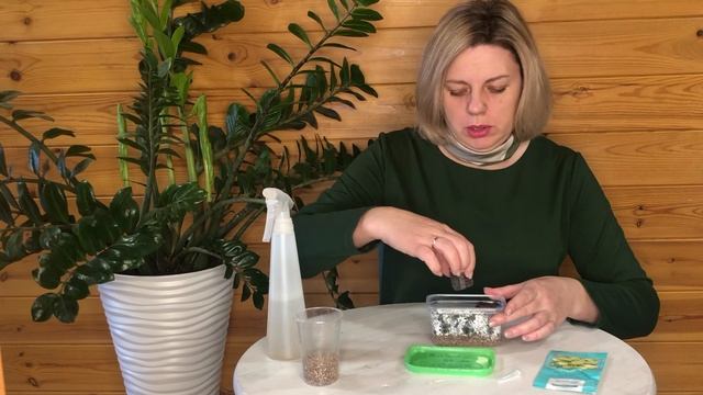 21-12-2023 посев Эустомы смотреть онлайн