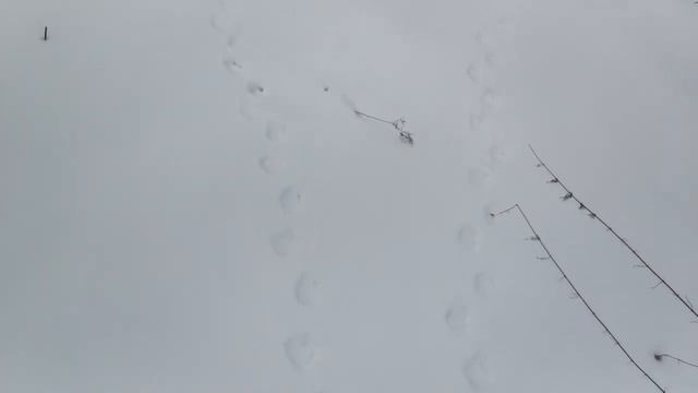 река Липка. смотреть онлайн