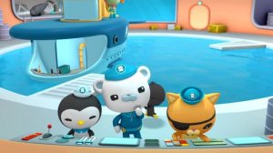 01.24 - Спасение леса водорослей