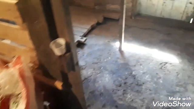 Объявление имени козы! и обзор козлятника . смотреть онлайн